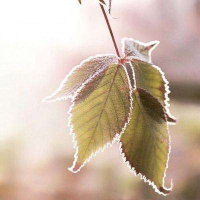 外交部：支持委内瑞拉维护自身主权、尊严和合法权利